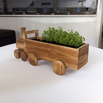 Ξύλινη γλάστρα - Διαπνέουσα, Ανθεκτική, Αντοχή στη διάβρωση; Τοίχος, Επιτραπέζιο ή Δάπεδο χρήση; Στυλ Καρτούν