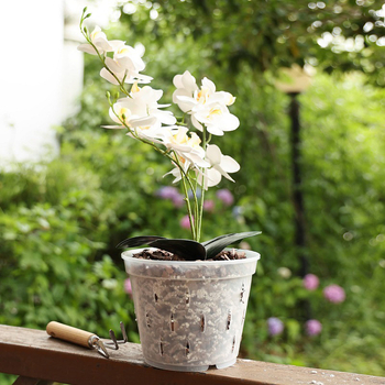 Γλάστρα για ορχιδείες Phalaenopsis με έλεγχο ριζών και δίσκο με οπές, διαφανές πλαστικό εσωτερικό δοχείο