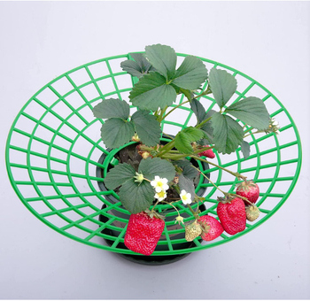 Suport din plastic pentru plante cu sistem de tavă/ramă, realizat prin injecție, rezistent la coroziune, design modular pentru grădinărit în casă, grădină pe balcon și cultivarea căpșunilor.