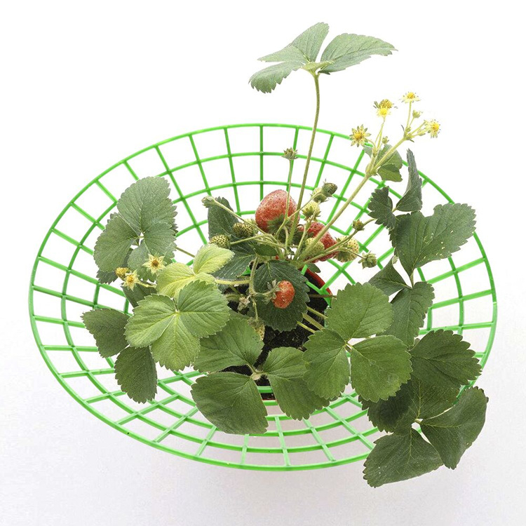 Suport din plastic pentru plante cu sistem de tavă/ramă, realizat prin injecție, rezistent la coroziune, design modular pentru grădinărit în casă, grădină pe balcon și cultivarea căpșunilor.