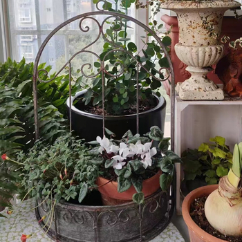 Μεταλλικό ράφι για γλάστρες τοίχου – συγκολλημένη κατασκευή, ανθεκτικό στη διάβρωση και ανθεκτικό στην οικιακή κηπουρική.