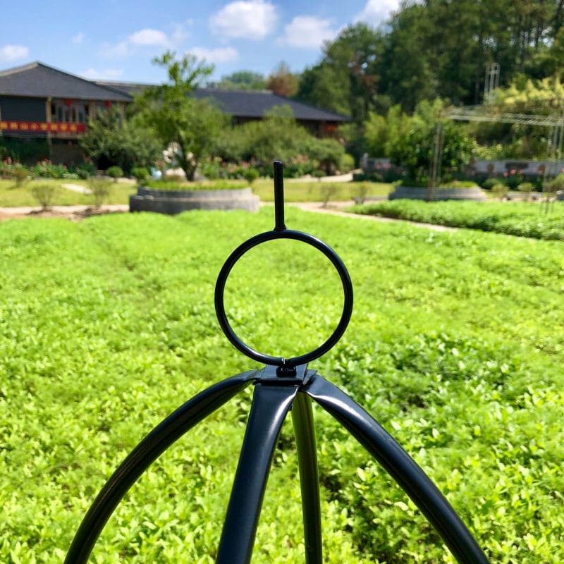 Kerti növényállvány – Vasból, padlón álló, mozgatható, egyszerű stílus, kapaszkodó növényekhez