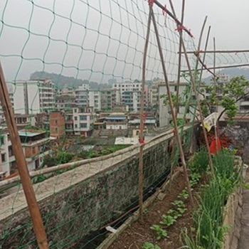 Σετ νάιλον κήπου για αναρρίχηση σε αμπέλια και λαχανικά – οικιακό σετ κηπουρικής με σκοινί πρόσδεσης Yongguan