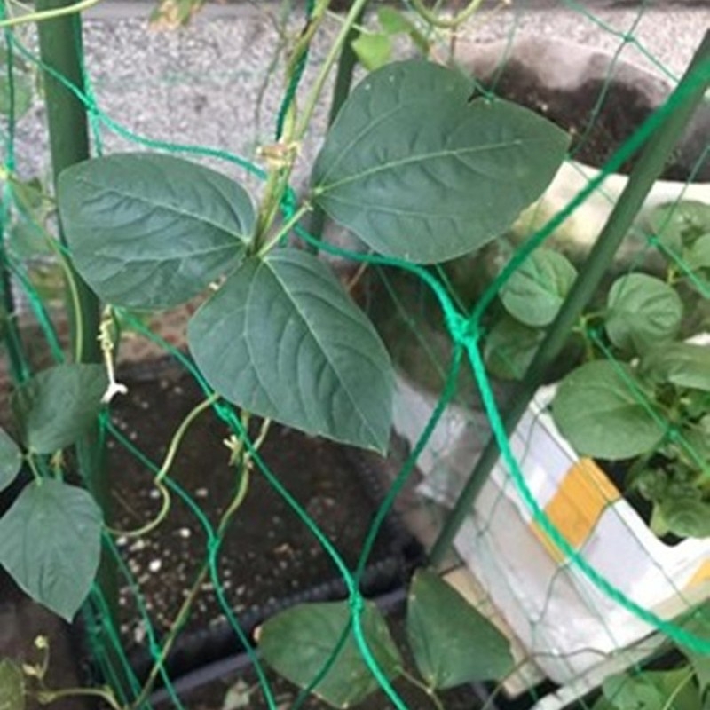 Yongguan nejlon kerti kapaszkodó háló készlet szőlő és zöldségek számára – otthoni kertészeti készlet rögzítő zsinórral Yongguan