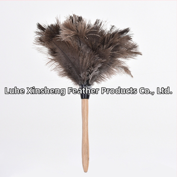 Dust Duster ar strausa spalvām, apaļa galva — Zīmols: New Feathers