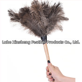 Dust Duster ar strausa spalvām, apaļa galva — Zīmols: New Feathers