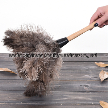 Dust Duster ar strausa spalvām, apaļa galva — Zīmols: New Feathers