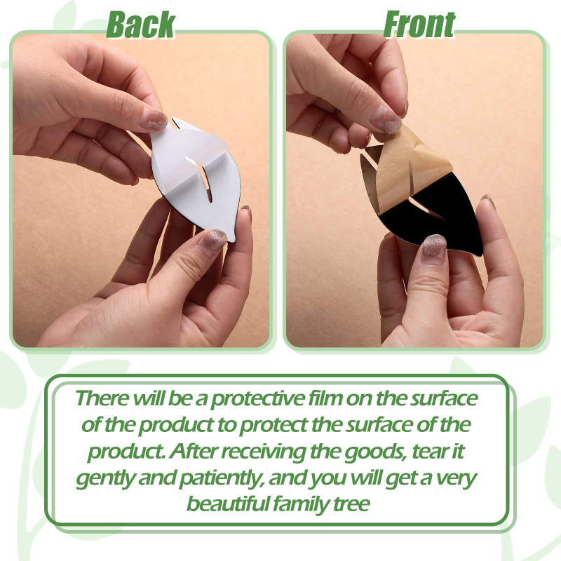 Ακρυλική διακόσμηση τοίχου με οικογενειακό δέντρο — αυτοκόλλητο τοίχου, μοντέρνο στυλ, για σαλόνι, κρεβατοκάμαρα, μελέτη, εστιατόριο και γραφείο
