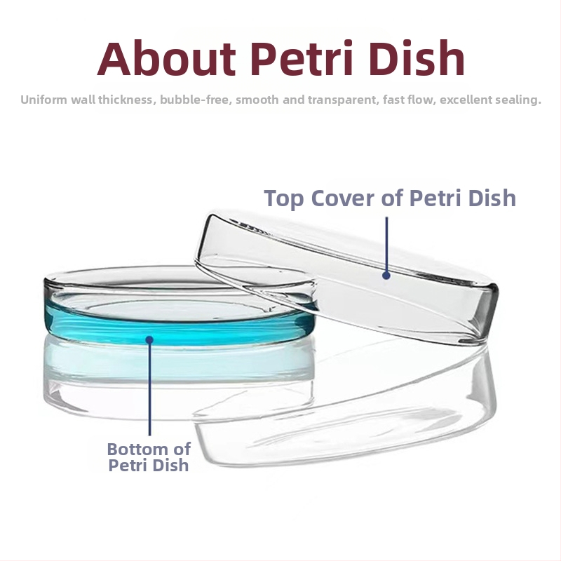 Petri indai iš aukštos borosilikatinio stiklo kultūrai ląstelėms ir bakterijoms — laboratorinės mokomos įrangos, Kangda prekės ženklas