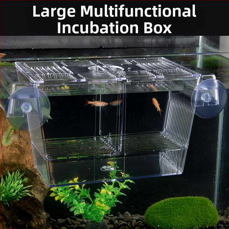 Акрилна инкубационна кутия за аквариумни риби – инкубация и изолация, разнообразни стилове