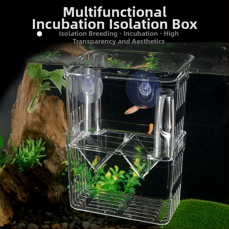 Акрилна инкубационна кутия за аквариумни риби – инкубация и изолация, разнообразни стилове