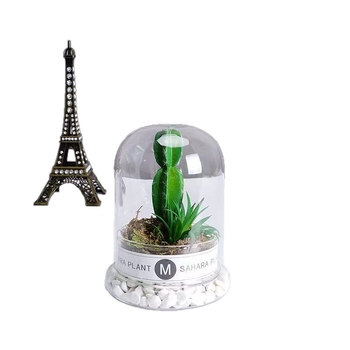 Σετ γυάλινος θόλος μικρο-τοπίου 2 σε 1 με φιάλη βρύων — φυσητό γυαλί υψηλής ποιότητας, γεωμετρικός μοντέρνος διακοσμητικός επιτραπέζιος