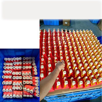 Dantų mokymo modelis studentų praktikai su implantavimo smeigių demonstravimu, dervos medžiaga, prekinis ženklas Liyue; palaiko privačias prekes