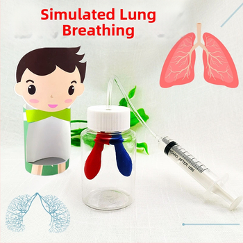 Plastmasas izglītojošs modelis elpošanas simulācijai, bioloģija/ķīmija, DIY montāža, vecums 7–14 gadi, Honeycomb Maze