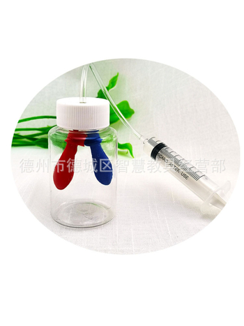 Plastmasas izglītojošs modelis elpošanas simulācijai, bioloģija/ķīmija, DIY montāža, vecums 7–14 gadi, Honeycomb Maze