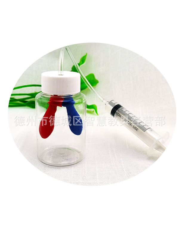 Plastmasas izglītojošs modelis elpošanas simulācijai, bioloģija/ķīmija, DIY montāža, vecums 7–14 gadi, Honeycomb Maze