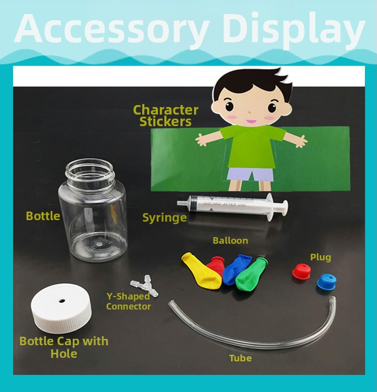 Plastmasas izglītojošs modelis elpošanas simulācijai, bioloģija/ķīmija, DIY montāža, vecums 7–14 gadi, Honeycomb Maze