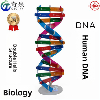 DNS dubultās spirāles izglītojošais modelis — ABS DIY bioloģijas komplekts vecuma 7–14 gadiem, zīmols Qiquan