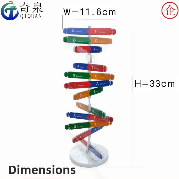 DNA двойна спирала образователен модел — ABS материал, DIY биологичен комплект, за възраст 7–14, марка Qiquan