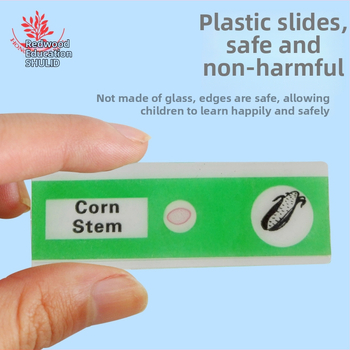 Mangrove PVC βιολογικά δείγματα, σετ 12 για διαφάνειες μικροσκοπίου (ζώα και φυτά)