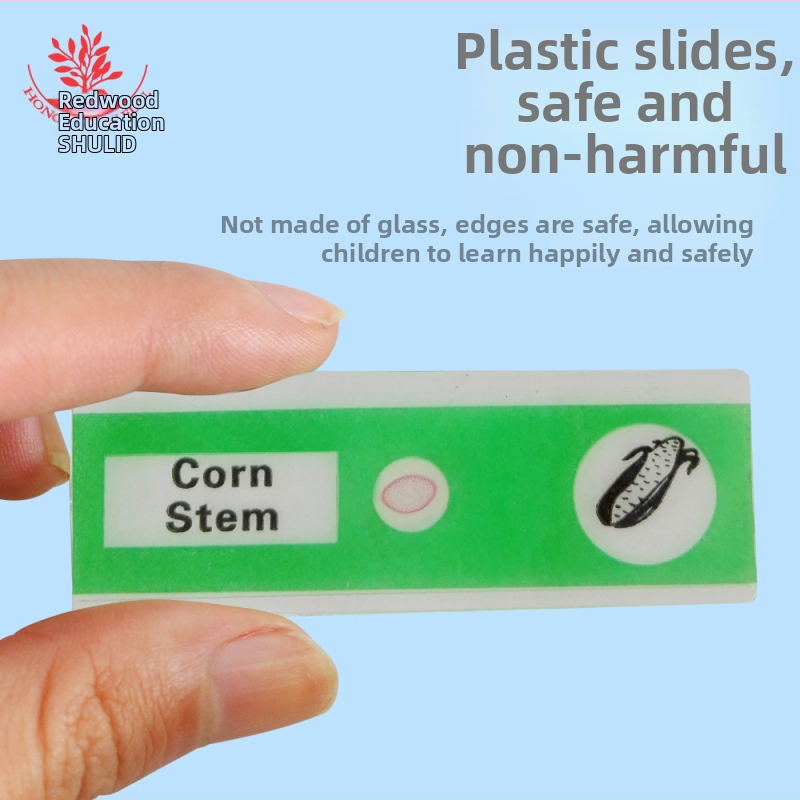 Mangrove PVC биологични образци, набор от 12 за микроскопски слайдове, материал PVC, спецификации 48