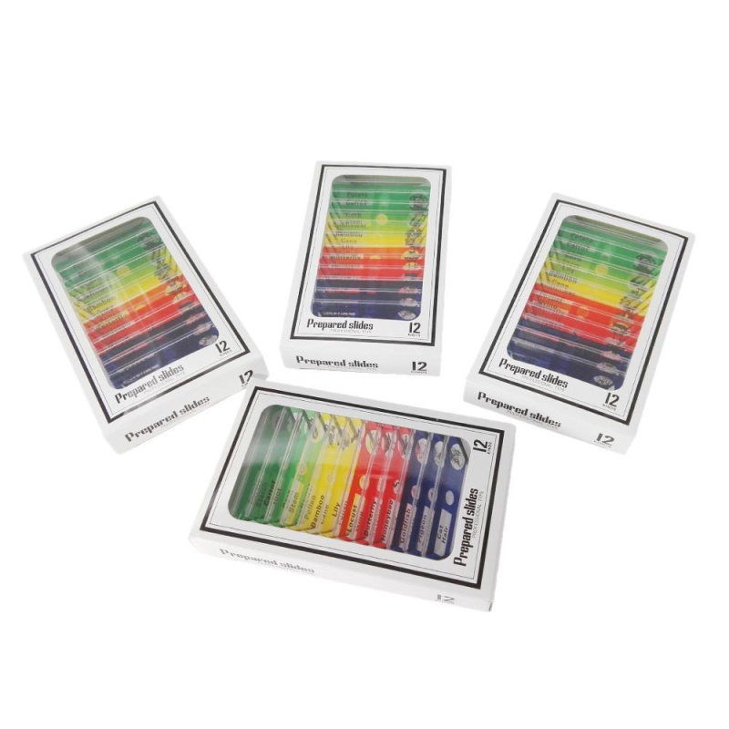 Mangrove PVC βιολογικά δείγματα, σετ 12 για διαφάνειες μικροσκοπίου (ζώα και φυτά)