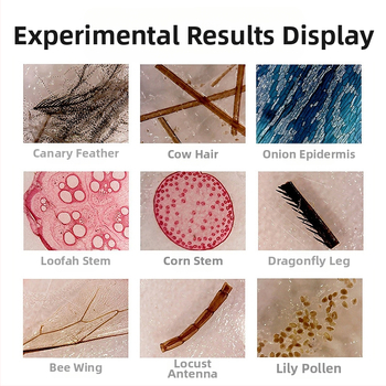 Bioloģiskais mikroskops bērniem ar 450x palielinājumu | metāla konstrukcija | izglītojoša zinātniska rotaļlieta 0–2 gadi | rokas eksperimentu rīks