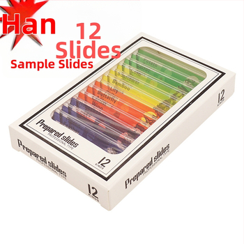 Bioloģiskais mikroskops bērniem ar 450x palielinājumu | metāla konstrukcija | izglītojoša zinātniska rotaļlieta 0–2 gadi | rokas eksperimentu rīks