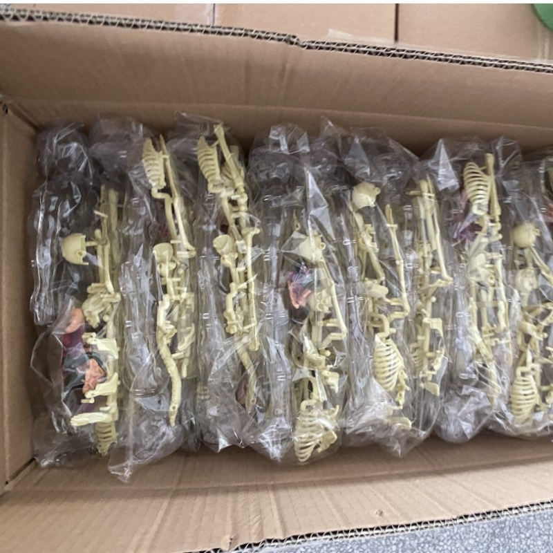 Cilvēka orgānu modele izglītošanai, PVC, DIY komplekts, 29 gab., vecums 7–14 gadi