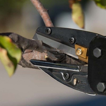 Keiba Πολυλειτουργικά κηπουρικά ψαλίδια για μοσχεύματα – Ανοξείδωτο χάλυβα, συνολικό μήκος 260 мм, μήκος λεπίδας 65 мм, βάρος 565 g