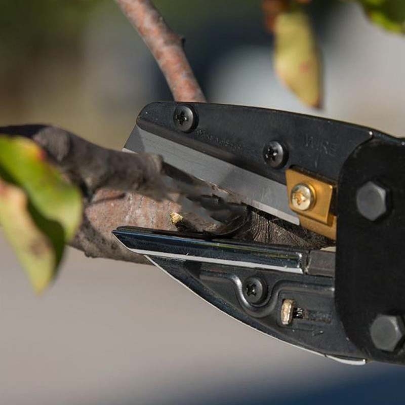 Keiba többfunkciós kerti metszőolló – rozsdamentes acél, teljes hossz 260 mm, pengéjének hossza 65 mm, tömeg 565 g