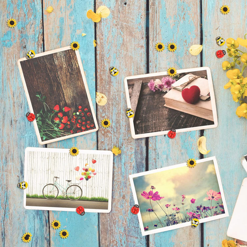 Plokščios galvos smeigtukų rinkinys, 30 vienetų dėžutėje, medis + derva + metalas, bitės, saulėgrąžos ir boružė motyvai