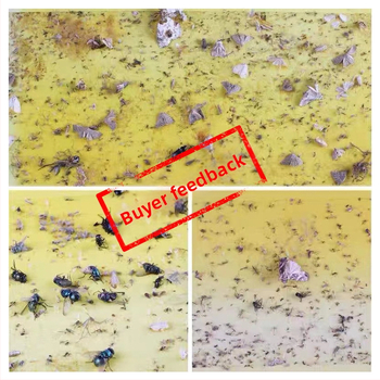 Λάμπα εξολόθρευσης μυγών με κολλητικά φύλλα, PP πλαστικό, χωρίς ιδιωτική ετικέτα