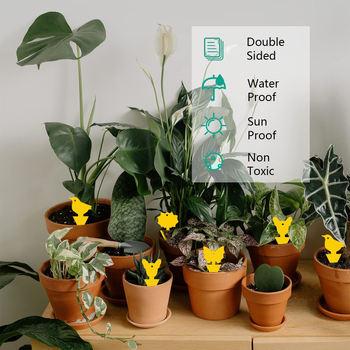 Ακανόνιστος κολλητικός δίσκος για έντομα, διπλής όψεως από PP, παγίδα εντόμων για φρούτα, κωδικός προϊόντος syh912554