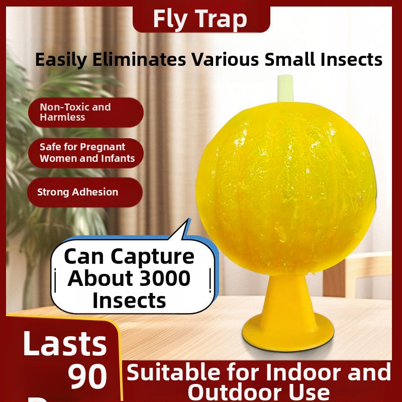 Vidaus uodų ir musių gaudyklė – netoksiška, su kvapu, kūrybinis dizainas