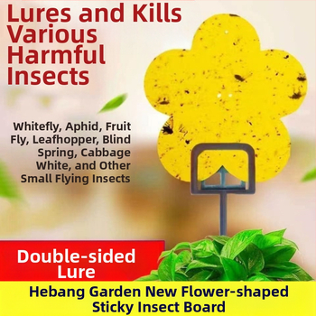 Κολλητική δίσκος για έντομα από το Hebang Garden για ανθοφόρα φυτά — PP υλικό, δυνατότητα ιδιωτικής ετικέτας