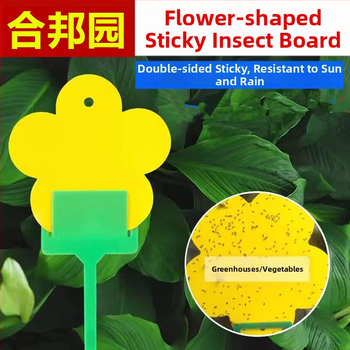 Κολλητική δίσκος για έντομα από το Hebang Garden για ανθοφόρα φυτά — PP υλικό, δυνατότητα ιδιωτικής ετικέτας