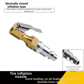 Ντούζα γρήγορου φουσκώματος ελαστικών με PM20 αρσενικό, χαλκού εσωτερικά δόντια