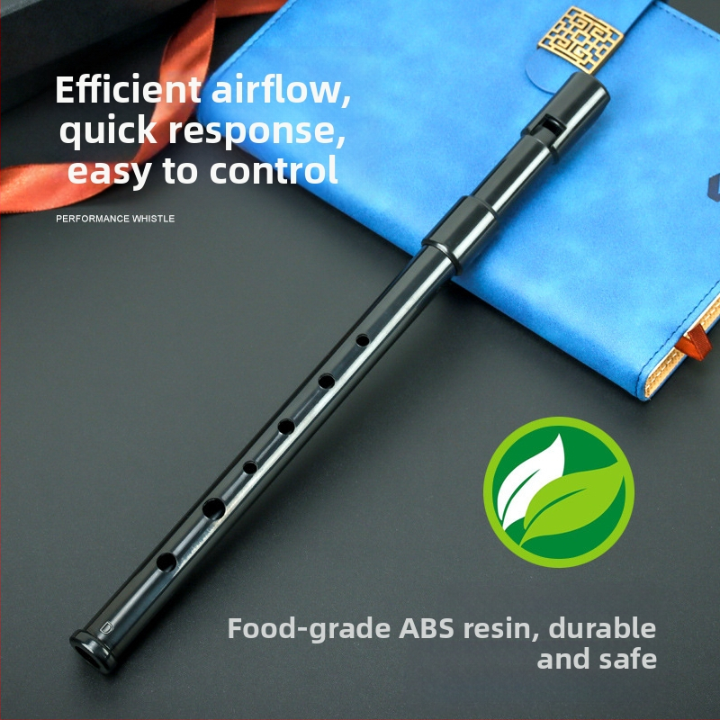 Schwinger флейта с пластмасова кутия за музикални инструменти