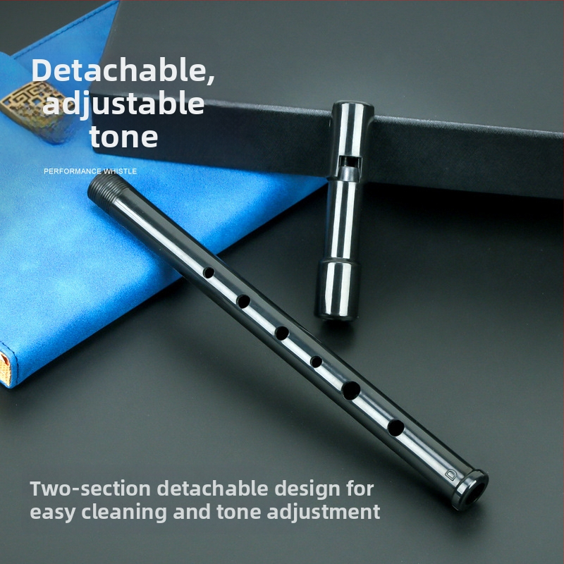 Schwinger флейта с пластмасова кутия за музикални инструменти