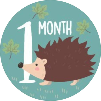 Пропс за снимки на бебета – карикатурен стил, хартиено изделие; Материал: хартия; Категория: Други хартиени занаяти; Подходящи поводи: сватби, празници, партита