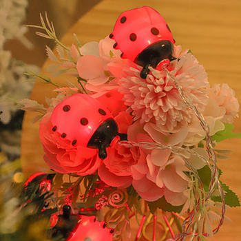 LED φωτεινές αλυσίδες σε σχήμα εντόμου CJ040 – 10 LED, IP42, 3V, 5000K, εσωτερική/εξωτερική διακόσμηση φεστιβάλ