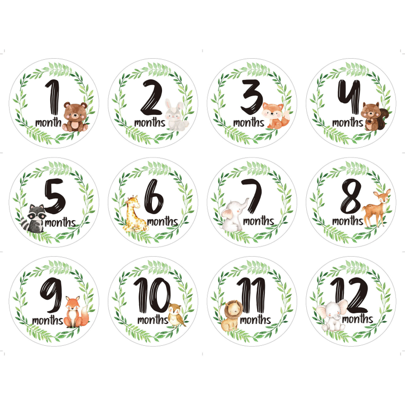 Одеяло за отбелязване на месеци със стикери за снимки, хартиени изделия; персонализируемо с печатано лого; лицензиран частен етикет; подходящо за новородени и бъдещи майки