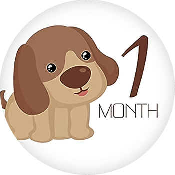 Реквизити за снимки на бебешки постижения и паметни стикери за бременност – карикатурен стил, медни стикери върху хартия