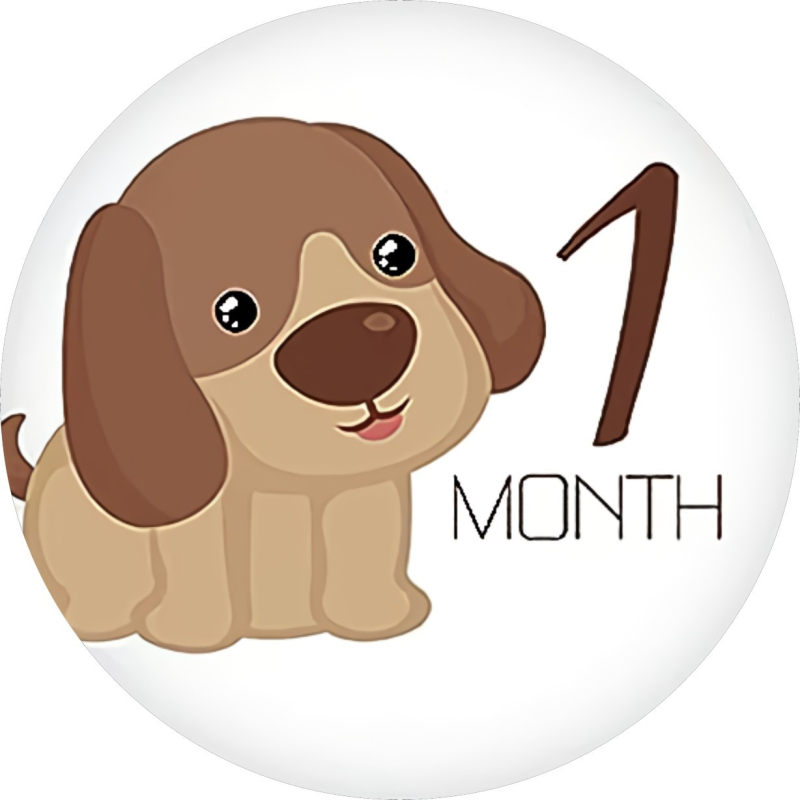 Реквизити за снимки на бебешки постижения и паметни стикери за бременност – карикатурен стил, медни стикери върху хартия