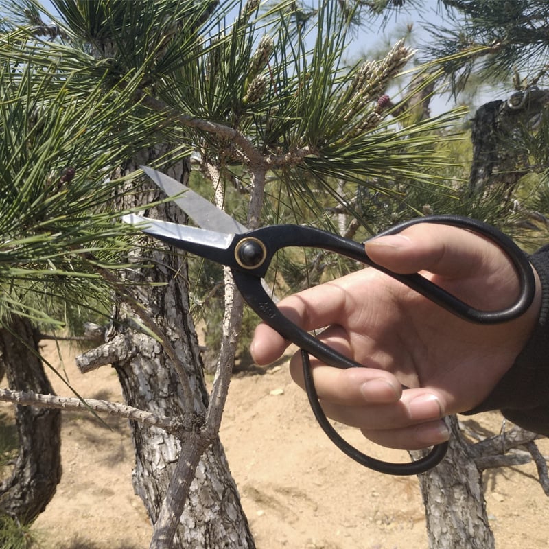 Jintian 3006 професионални ножици за подрязване на цветя и бонсай, неръждаема стомана