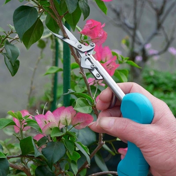 Új Zanthoxylum szedőgép, többfunkciós gyümölcs- és zöldségszedéshez