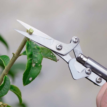 Új Zanthoxylum szedőgép, többfunkciós gyümölcs- és zöldségszedéshez