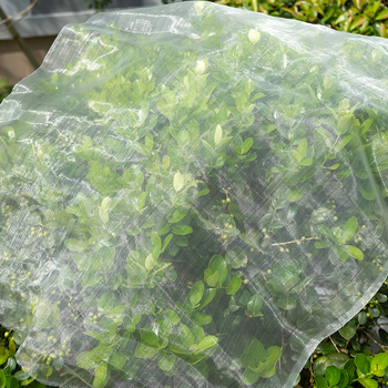 Distinguished νάιλον διχτυωτή προστασία για οικιακή κηπουρική; προστασία από έντομα και σκόνη