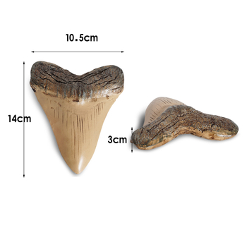 Διακοσμητικό ειδώλιο από ρητίνη με μίμηση δοντιών καρχαρία, Yuhao, αγροτικό στυλ, κατηγορία δείγμα, υλικό: συνθετική ρητίνη